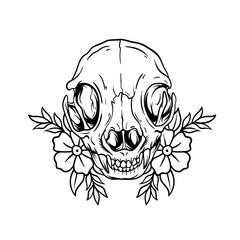Hand drawn illustration of a cat skull outline