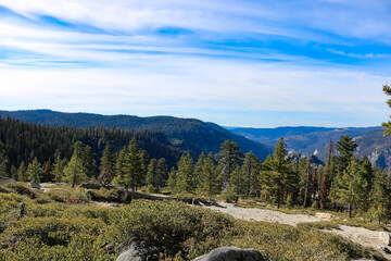 Yosemite National Park Landscape Mountains and Trees