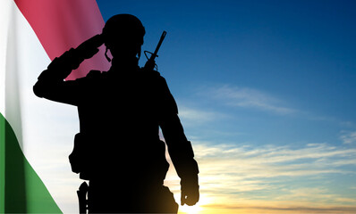 Silhouette of a saluting soldier on background of sky with Hungary flag. EPS10 vector