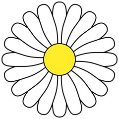 Daisy blossom icon. Cartoon carmomile clipart.