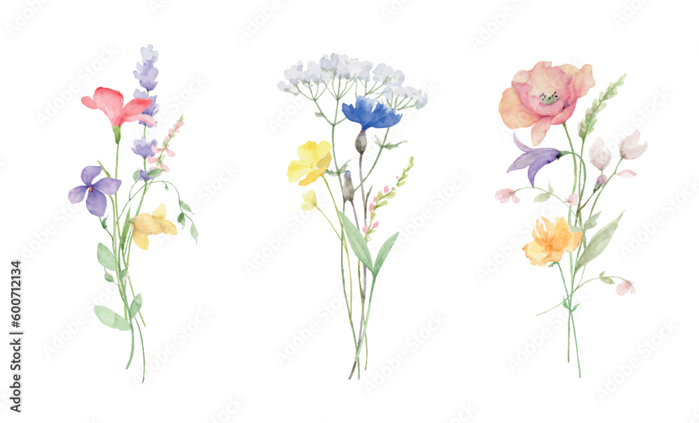 Wall mural Wildflowers and Butterflies Watercolor vector bouquet isolated on white background. - Wall murals