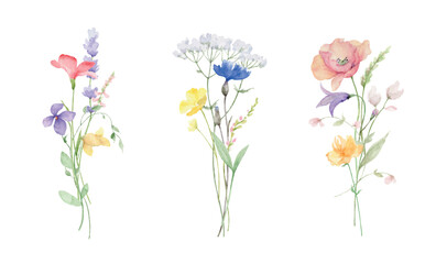 Wildflowers and Butterflies Watercolor vector bouquet isolated on white background. - 600712134