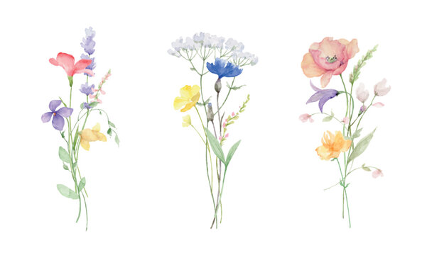 Wildflowers and Butterflies Watercolor vector bouquet isolated on white background.