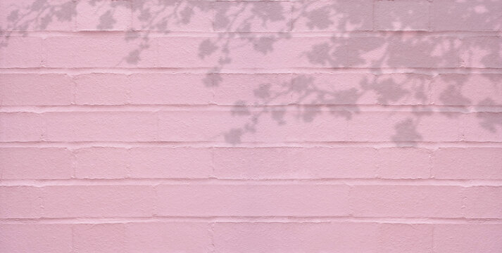 Pink Brick Wall Texture with Cherry Blossom Shadow Background, Vintage stone wall surface with leaves shadow overlay,Empty backdrop background Grunge Stucco Background With Copy Space