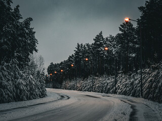 droga w lesie zimą
