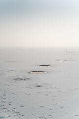 details of the winter landscape