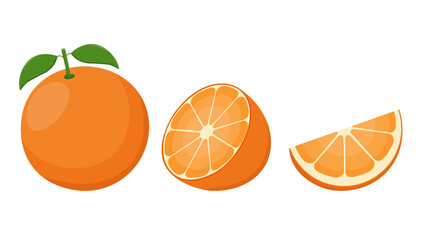 Set of fresh oranges. Orange fruit isolated on white background. Vector illustration for design and print