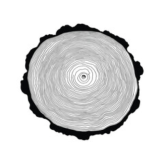 Log cut, vector illustration. Tree rings pattern, shades of gray.