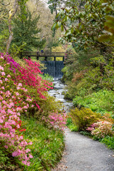 views around a gorgeous UK garden in spirng time