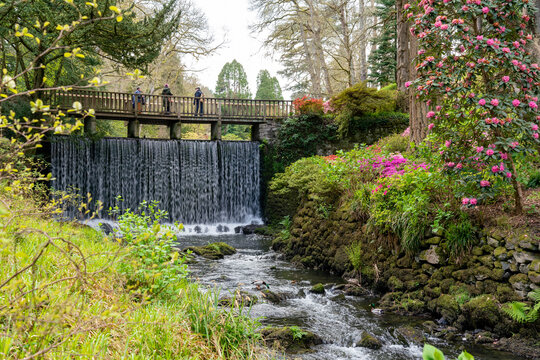 views around a gorgeous UK garden in spirng time
