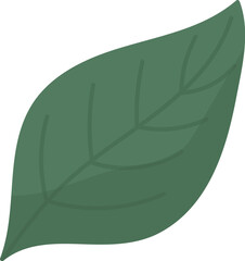Blueberry Leaf Icon