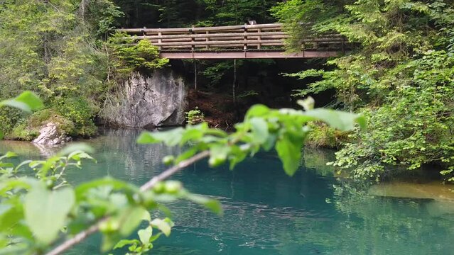 wooden footbridge over crystal clear water of blausee alpine lake in pine trees forest, Kandersteg - Switzerland.slow motion zoom in