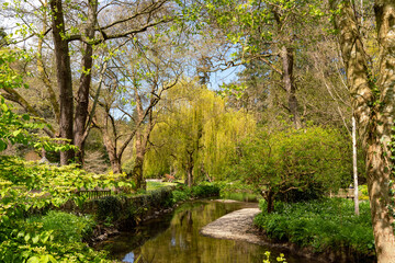 Fototapeta na wymiar views around a gorgeous UK garden in spirng time