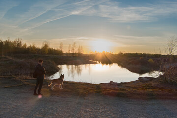 A man walks with a husky dog ​​at sunset in nature, rear view.