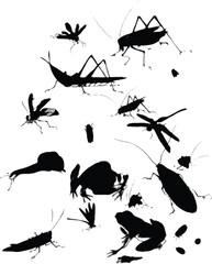 set of silhouettes of insects