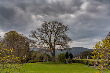views around a gorgeous UK garden in spirng time