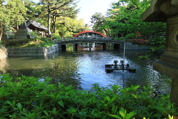 A distant view of Sori-hashi Bridge in the precincts of Sumiyoshi-taisha Shrine in Osaka City in Japan ：日本の大阪市にある住吉大社の境内の反橋の遠景