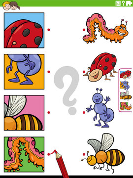 match cartoon insects animals and clippings educational game