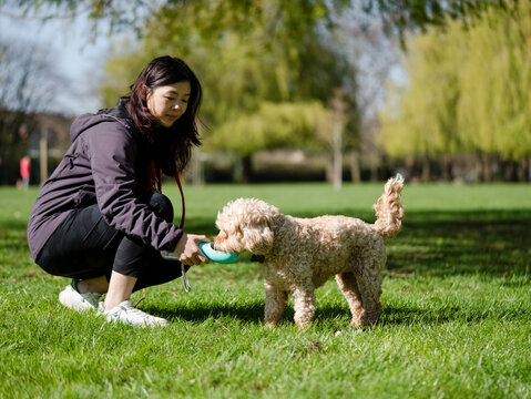 Woman giving water to dog in park during walk