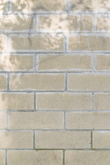 Building exterior, textured brick wall background with sunbeam and shadows..
