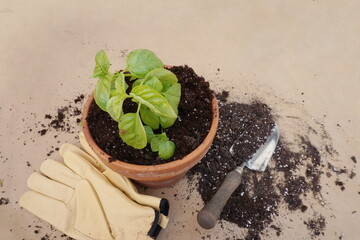 Potted Basil, Shovel, Gloves and Dirt on Brown Kraft Paper