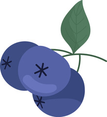 Blueberry Berries Branch