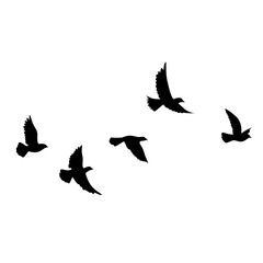 flying bird vector silhouette
