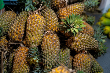 Kokosnuss, Mango, Bananen, Früchte auf dem Marktplatz 