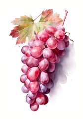 Fototapeta premium Watercolor illustration of a bunch with red grapes isolated on white background. Generative AI.