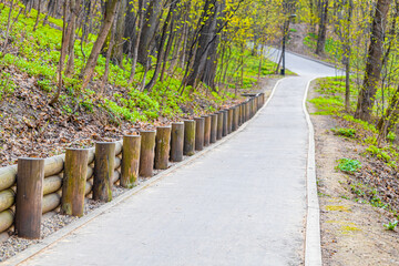 Deserted asphalt path in the summer forest.