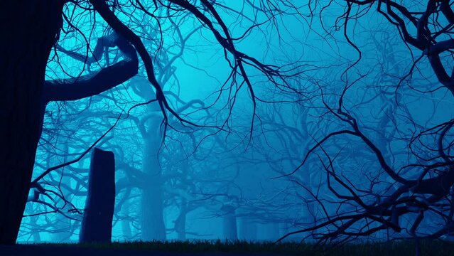 3d animation video of a dark blue forest with tall tree branches night time.