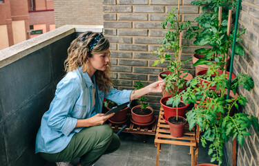 Young woman checking plants of urban garden on terrace of residential apartment while holding...