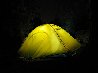 Tent glows in the night forest