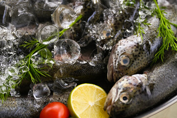 Platter with a lot of trout fresh fish in ice with lemon, prepared to be cooked on the grill