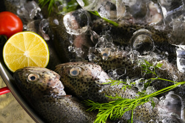 Platter with a lot of trout fresh fish in ice with lemon, prepared to be cooked on the grill