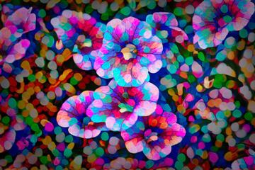 A photo becomes a beautiful abstract background with flowers as the main subject.  Colorful and...
