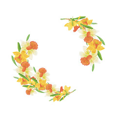 Daffodil yellow heart watercolor