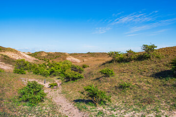 Fototapeta na wymiar Hiking through the dunes near Egmnd aan Zee/NL in spring