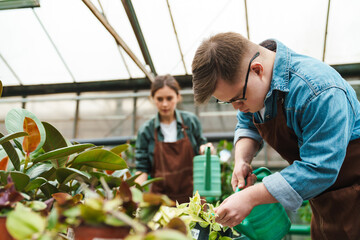 Man with down syndrome and woman gardener watering plants in greenhouse