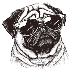 cool pug wearing sunglasses vector illustration - obrazy, fototapety, plakaty