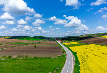 Aerial view of a road in a field with agricultural crops