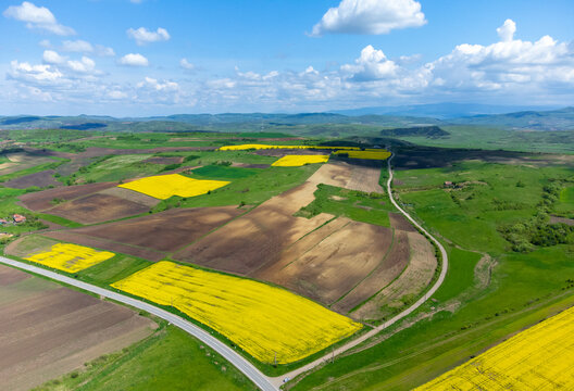 Aerial view of a road in a field with agricultural crops
