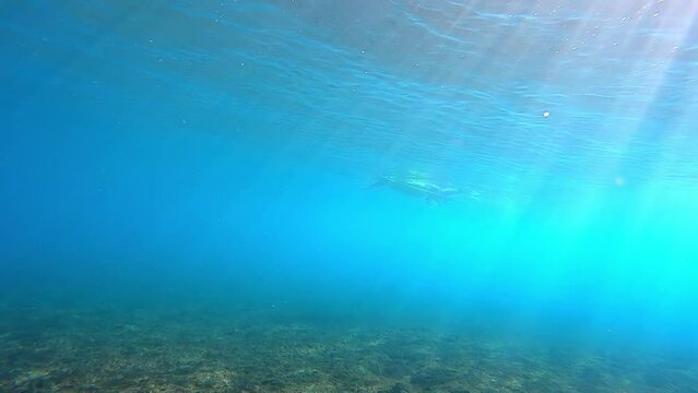 Slow Motion Shot Of Man Surfing Seen From Tranquil Underwater - Oahu, Hawaii
