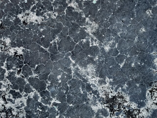 The textured background with unusual patterns and colors is very beautiful.