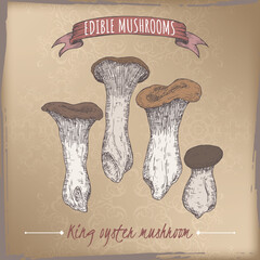 Pleurotus eryngii aka king oyster mushroom color sketch on vintage background. Edible mushrooms series. - 600755556