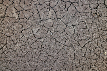 cracks on the ground desert texture background earth climate ecology