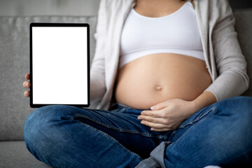 Unrecognizable Pregnant Woman Showing Digital Tablet With Blank White Screen