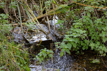 waterarea