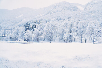 Winter landscape in Scandinavia. With snow covered trees on a mountain. Landscape