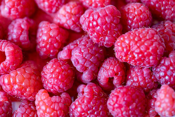 raspberry 